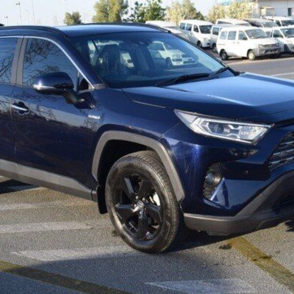 2020 TOYOTA RAV4 Blue