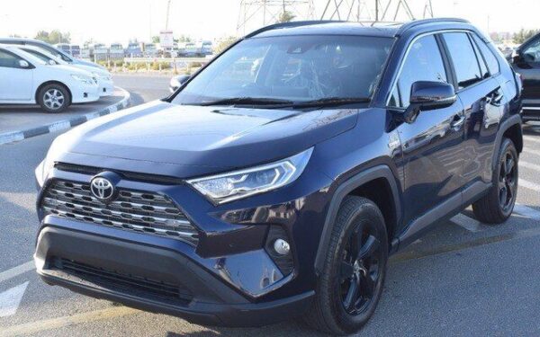 2020 TOYOTA RAV4 Blue