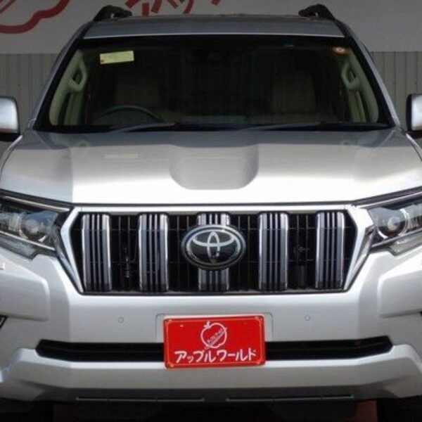 2019 TOYOTA LAND CRUISER PRADO TX-L PACKAGE 4WD