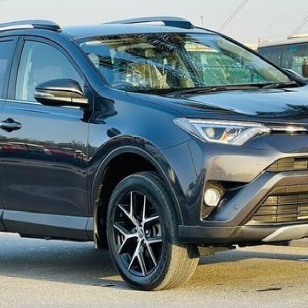 2019 TOYOTA RAV4 Grey