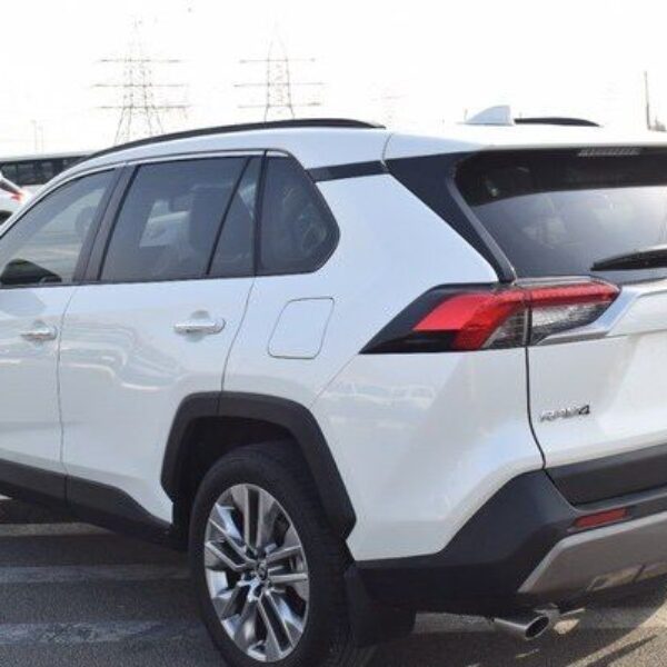 2019 TOYOTA RAV4 White
